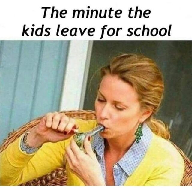 Bildschirmarbeiter - Picdump KW 40/2025