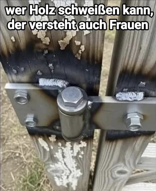 Bildschirmarbeiter - Picdump KW 40/2025