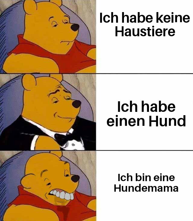 Bildschirmarbeiter - Picdump KW 40/2025