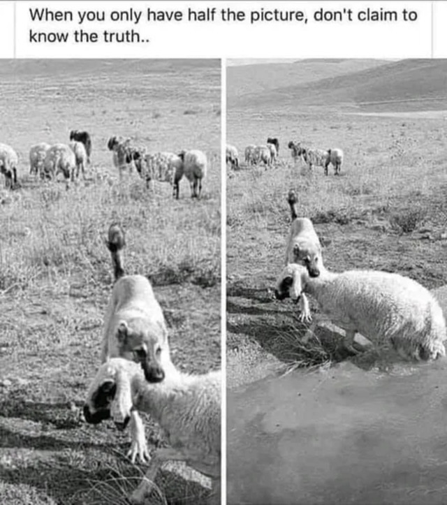 Bildschirmarbeiter - Picdump KW41 2020