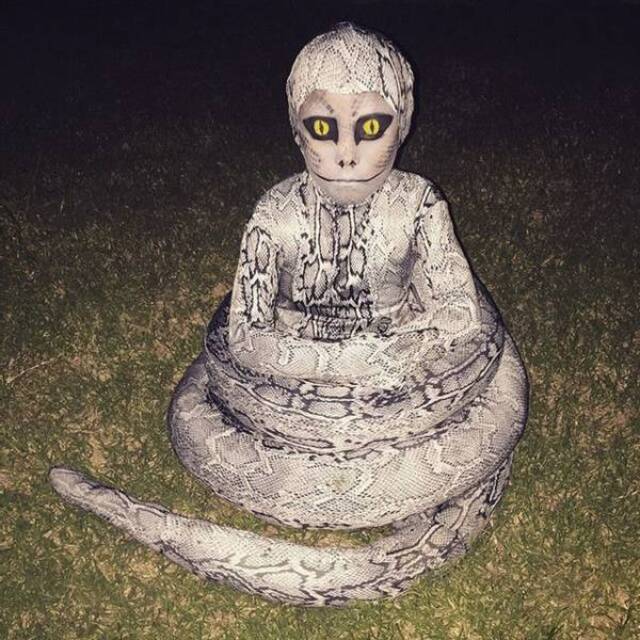 Bildschirmarbeiter - Picdump KW41 2020