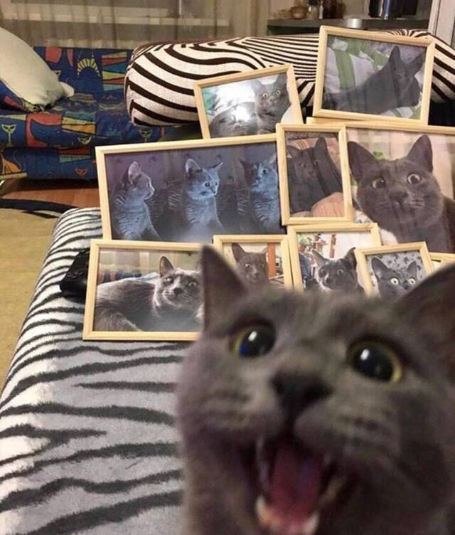 Bildschirmarbeiter - Picdump KW41 2020