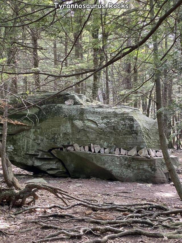 Bildschirmarbeiter - Picdump KW41 2020