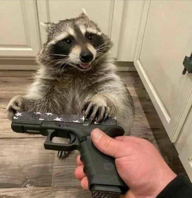 Bildschirmarbeiter - Picdump KW 41/2025