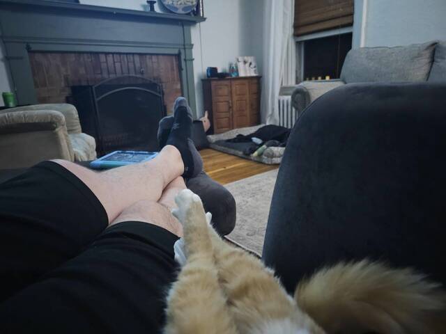 Bildschirmarbeiter - Picdump KW 41/2025