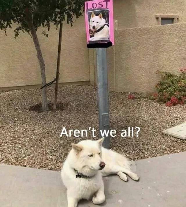 Bildschirmarbeiter - Picdump KW 41/2025