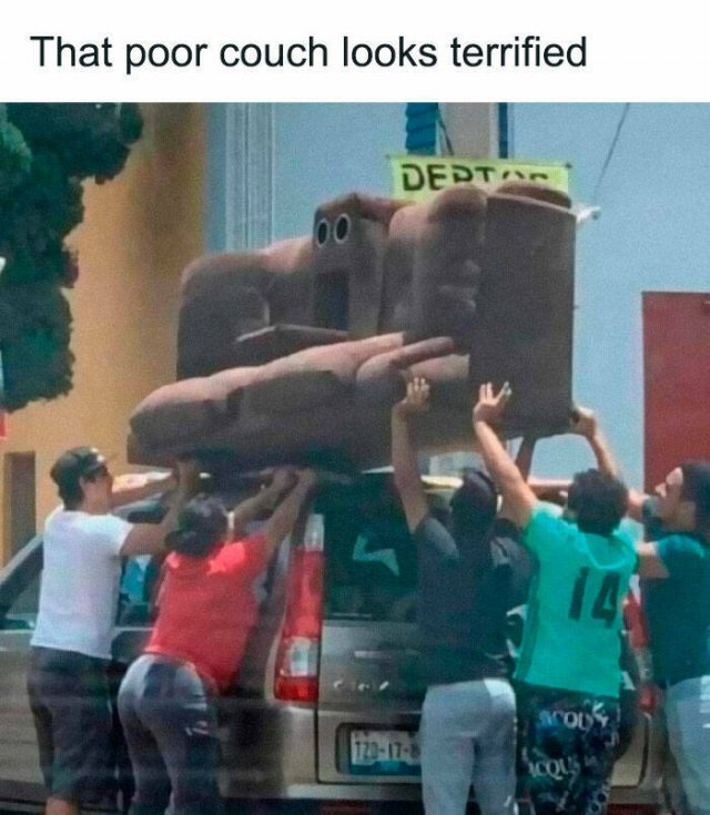 Bildschirmarbeiter - Picdump KW 41/2025