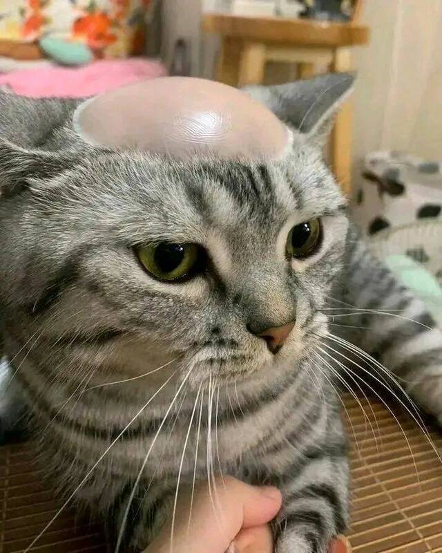 Bildschirmarbeiter - Picdump KW 41/2025