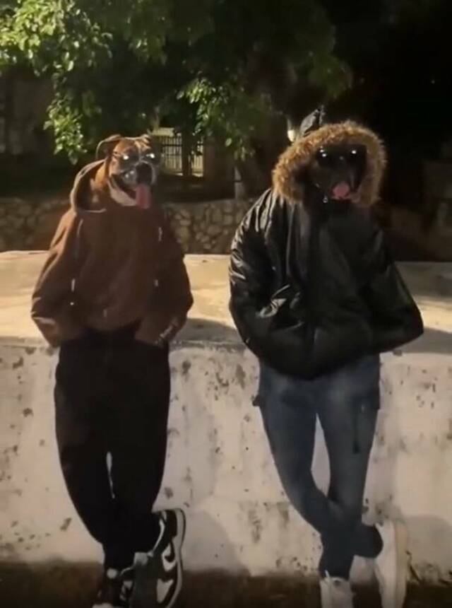 Bildschirmarbeiter - Picdump KW 41/2025