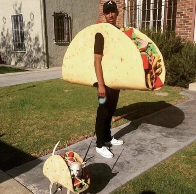 Bildschirmarbeiter - Picdump KW 41/2025