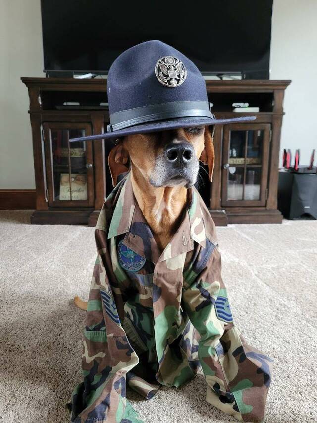 Bildschirmarbeiter - Picdump KW 41/2025