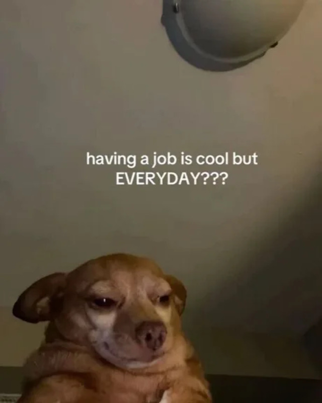 Bildschirmarbeiter - Picdump KW 41/2025