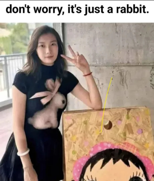 Bildschirmarbeiter - Picdump KW 41/2025