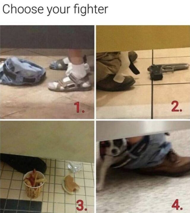 Bildschirmarbeiter - Picdump KW 41/2025