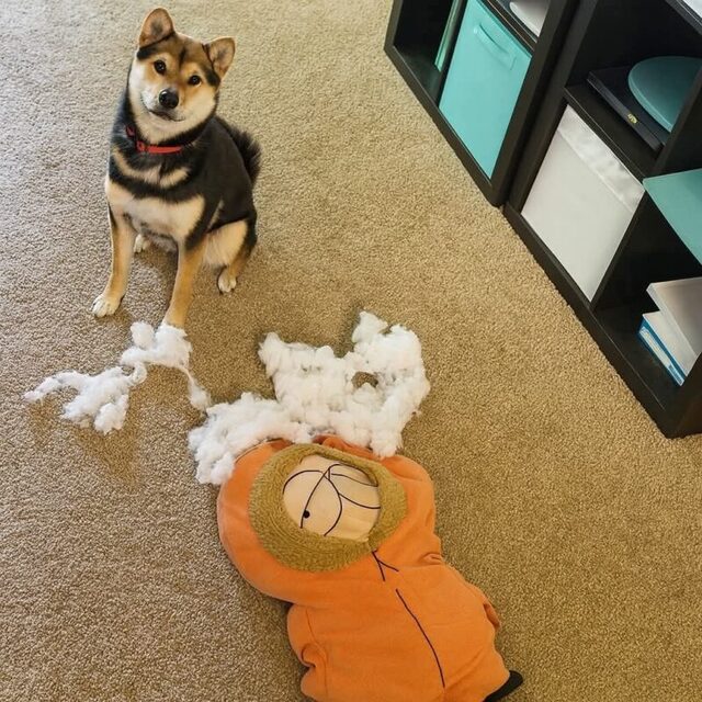 Bildschirmarbeiter - Picdump KW 41/2025