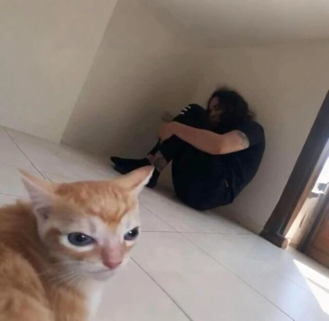 Bildschirmarbeiter - Picdump KW 41/2025