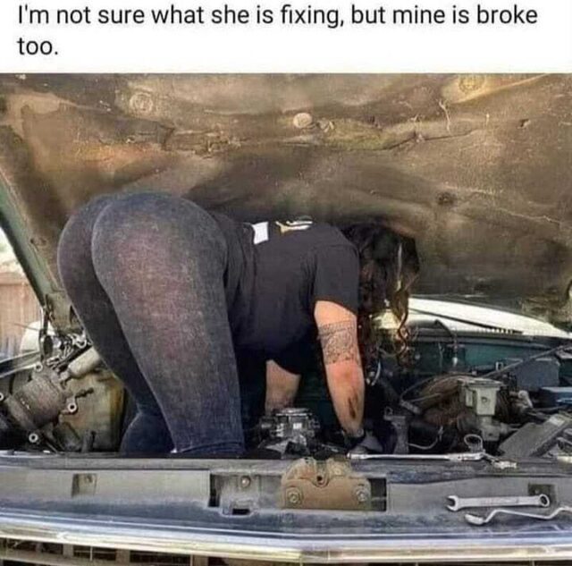 Bildschirmarbeiter - Picdump KW 41/2025