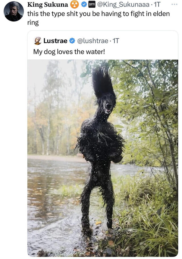 Bildschirmarbeiter - Picdump KW 41/2025