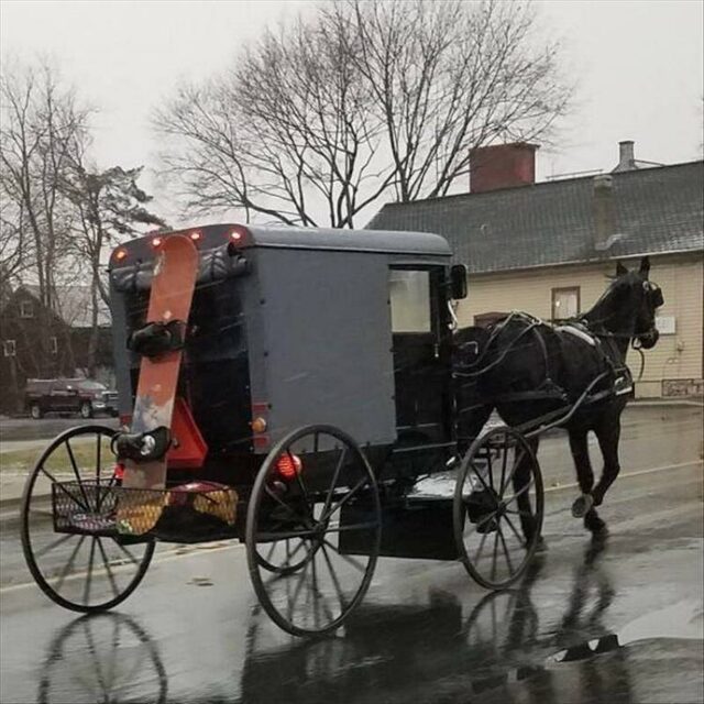 Bildschirmarbeiter - Picdump KW 41/2025