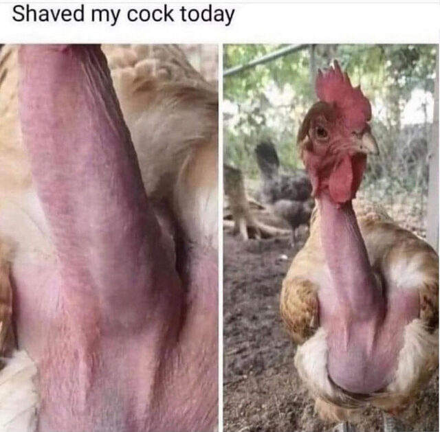 Bildschirmarbeiter - Picdump KW 41/2025