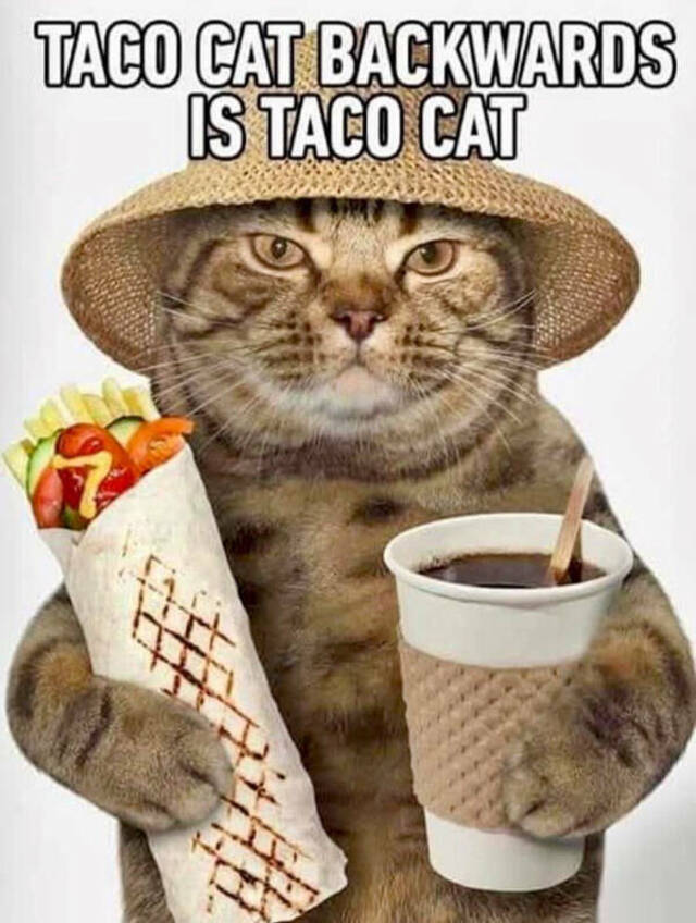 Bildschirmarbeiter - Picdump KW 41/2025