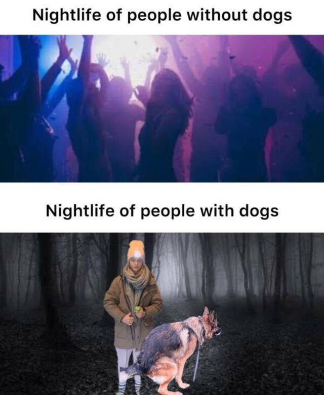 Bildschirmarbeiter - Picdump KW 41/2025