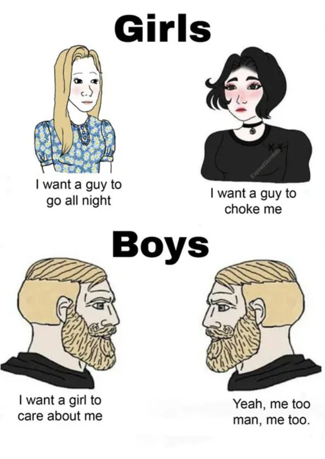 Bildschirmarbeiter - Picdump KW43 2020