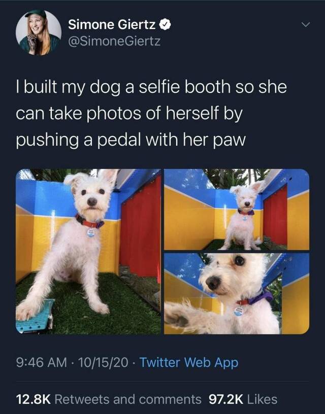 Bildschirmarbeiter - Picdump KW43 2020