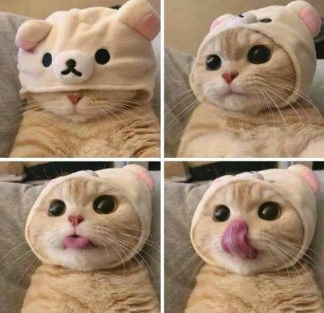 Bildschirmarbeiter - Picdump KW43 2020