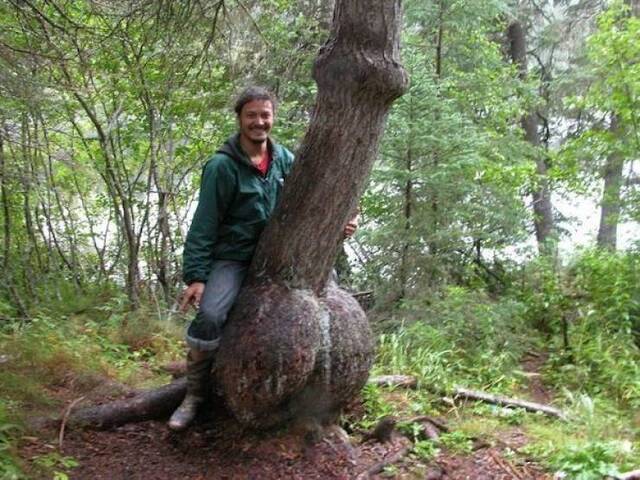 Bildschirmarbeiter - Picdump KW43 2020