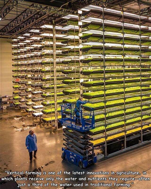 Bildschirmarbeiter - Picdump KW43 2020