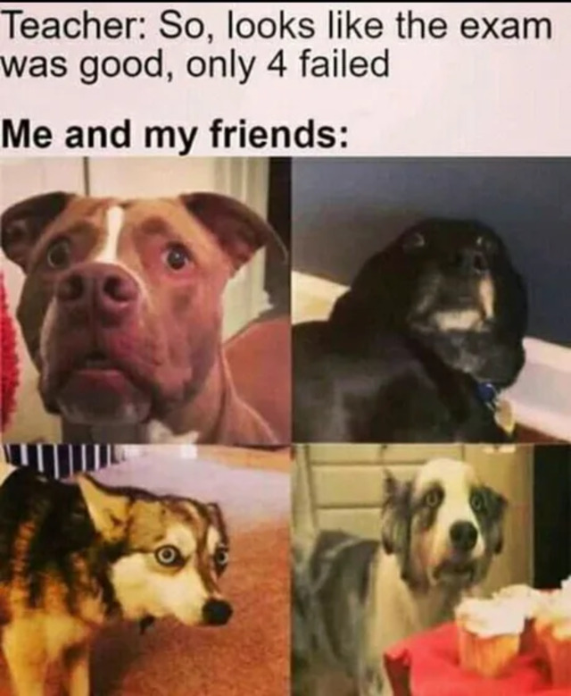 Bildschirmarbeiter - Picdump KW43 2021