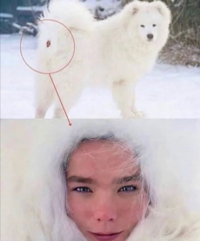 Bildschirmarbeiter - Picdump KW43 2021