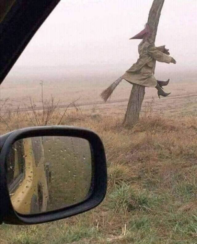 Bildschirmarbeiter - Picdump KW43 2021