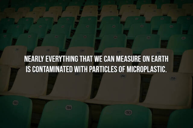 Bildschirmarbeiter - Picdump KW43 2021