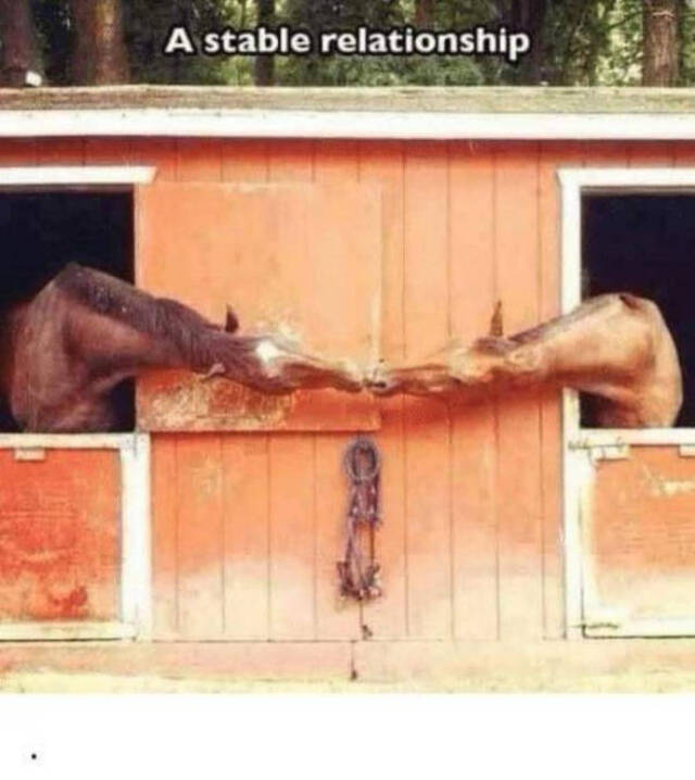 Nachschlag - Bildschirmarbeiter - Picdump KW43 2021