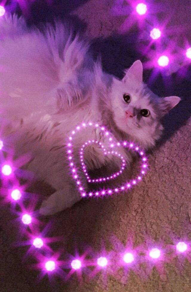 Nachschlag - Bildschirmarbeiter - Picdump KW43 2021