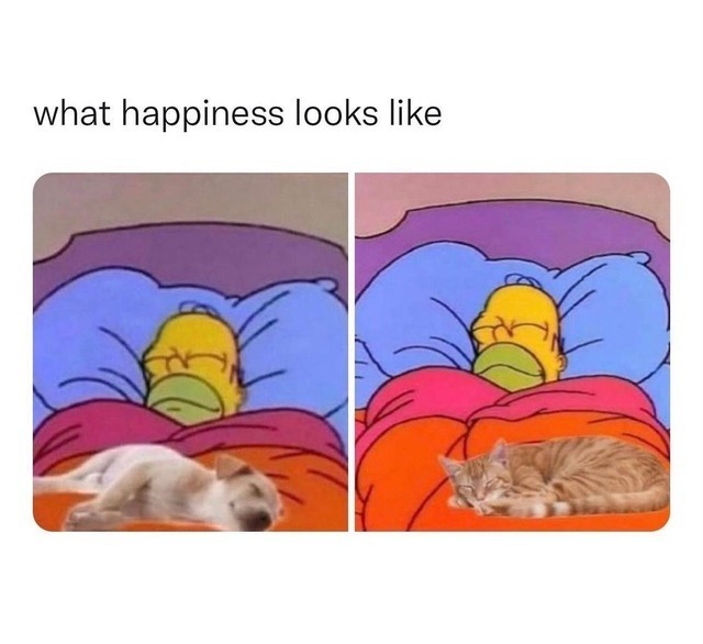 Nachschlag - Bildschirmarbeiter - Picdump KW43 2021