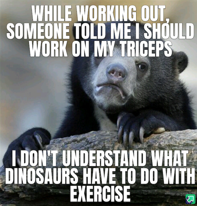 Bildschirmarbeiter - Picdump KW 43/2025