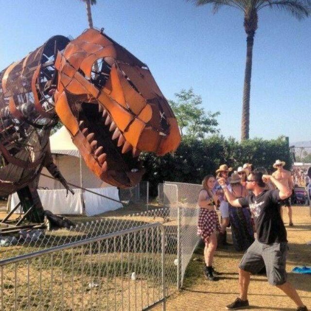 Bildschirmarbeiter - Picdump KW 43/2025