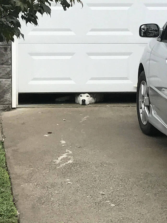 Bildschirmarbeiter - Picdump KW 43/2025