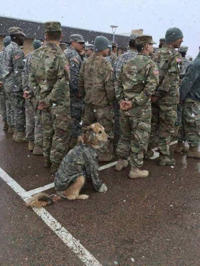 Bildschirmarbeiter - Picdump KW 43/2025