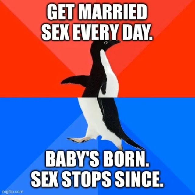 Bildschirmarbeiter - Picdump KW 43/2025