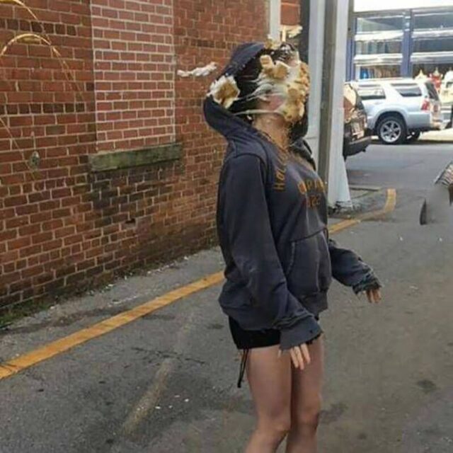 Bildschirmarbeiter - Picdump KW 43/2025