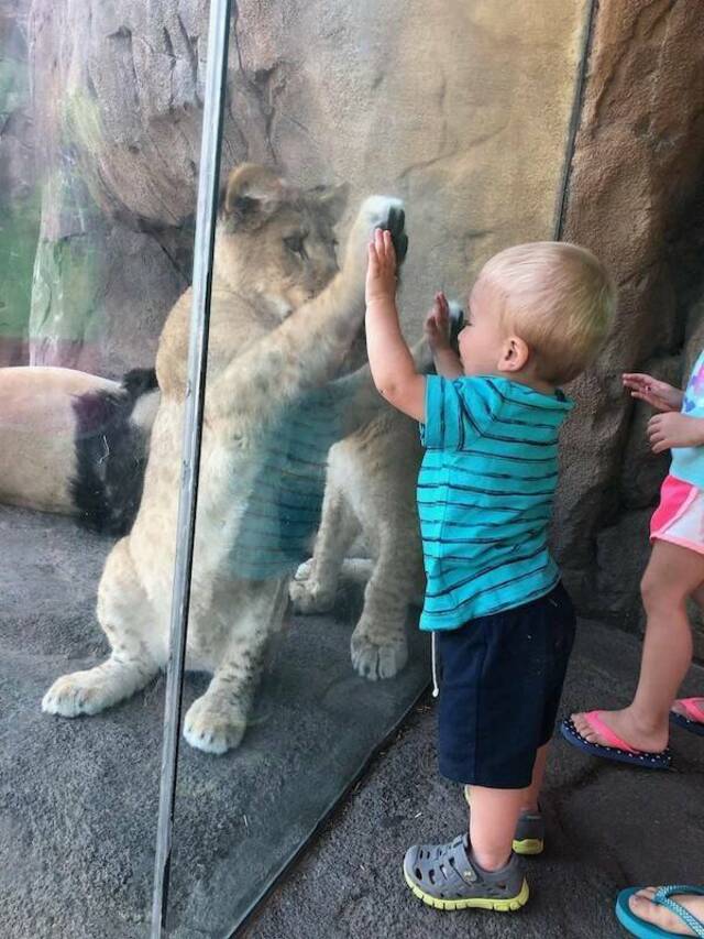 Bildschirmarbeiter - Picdump KW 43/2025