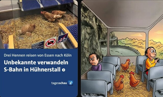 Bildschirmarbeiter - Picdump KW 43/2025