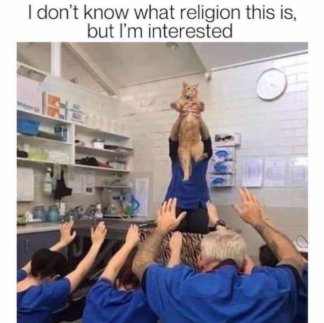 Bildschirmarbeiter - Picdump KW44 2021