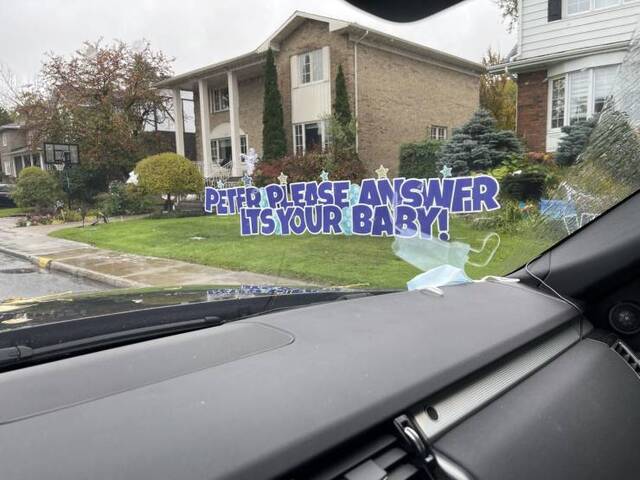 Bildschirmarbeiter - Picdump KW44 2021