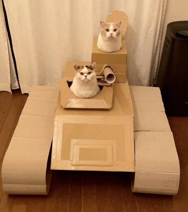 Bildschirmarbeiter - Picdump KW44 2021