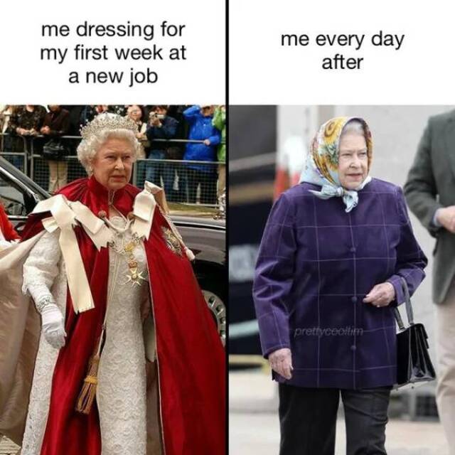 Bildschirmarbeiter - Picdump KW44 2021